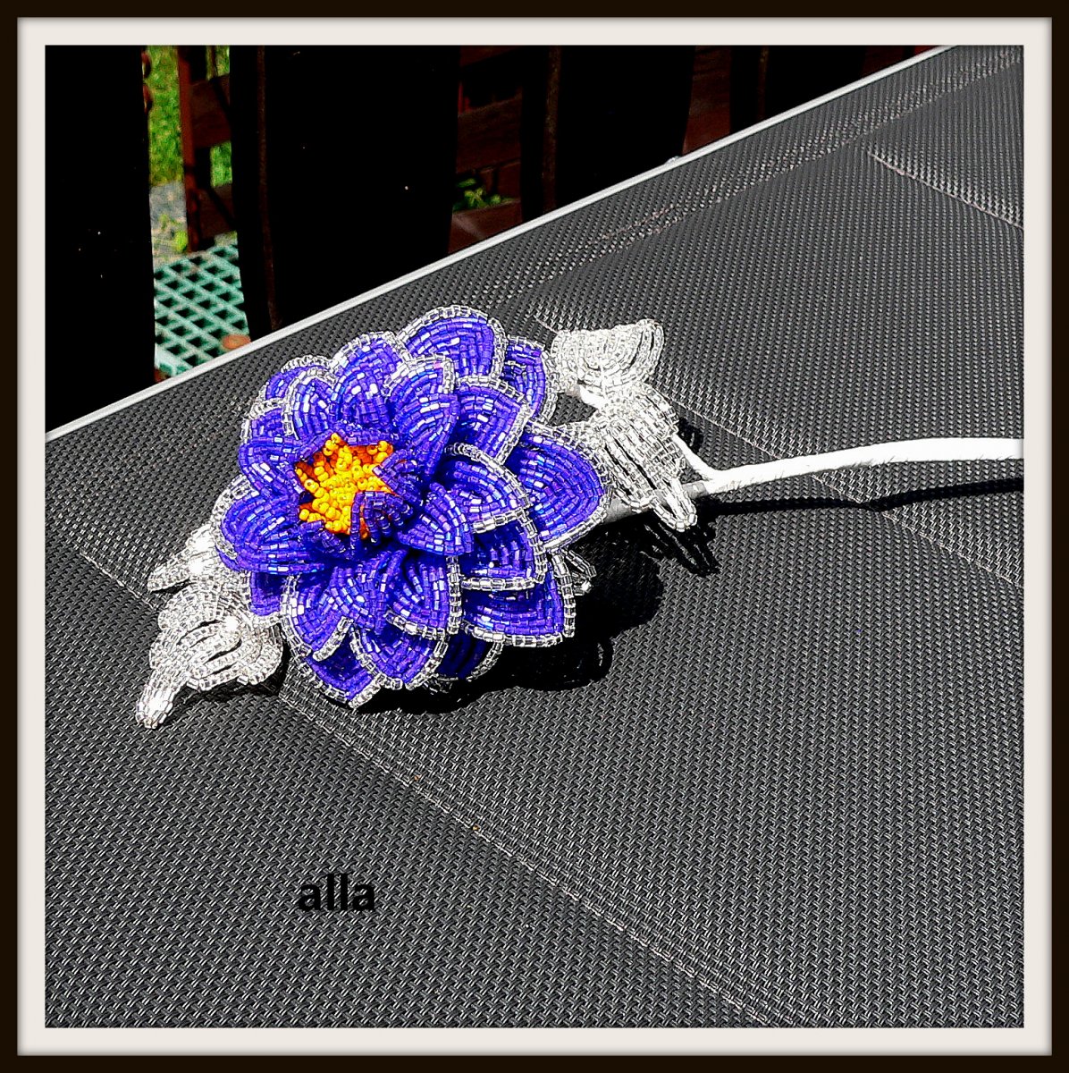 č. 10 - jiřina - T B 3