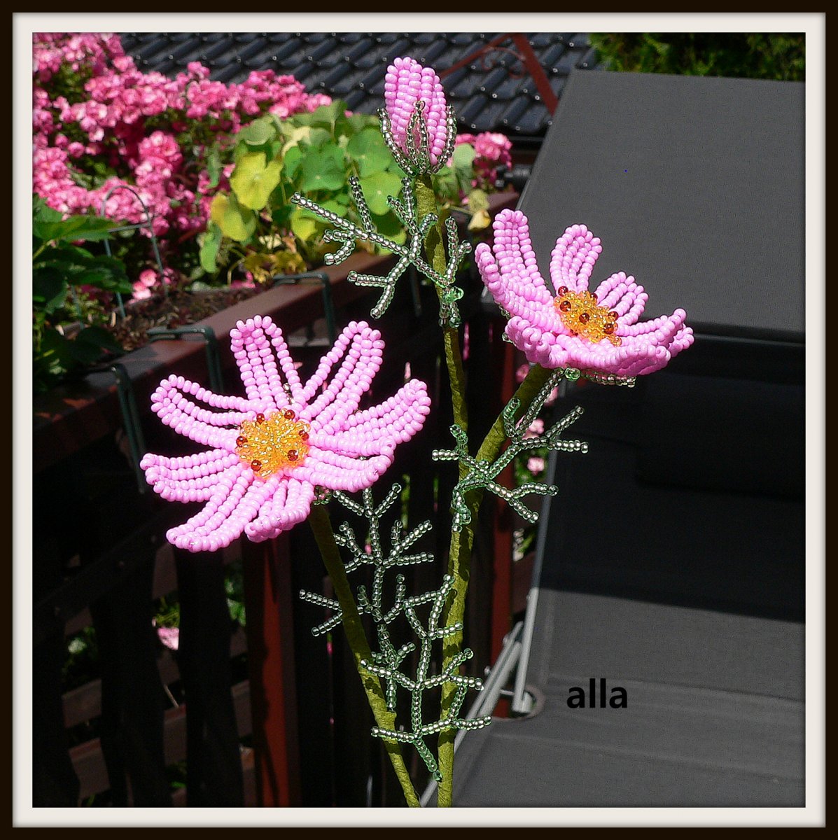 č. 11 - kosmos - T D