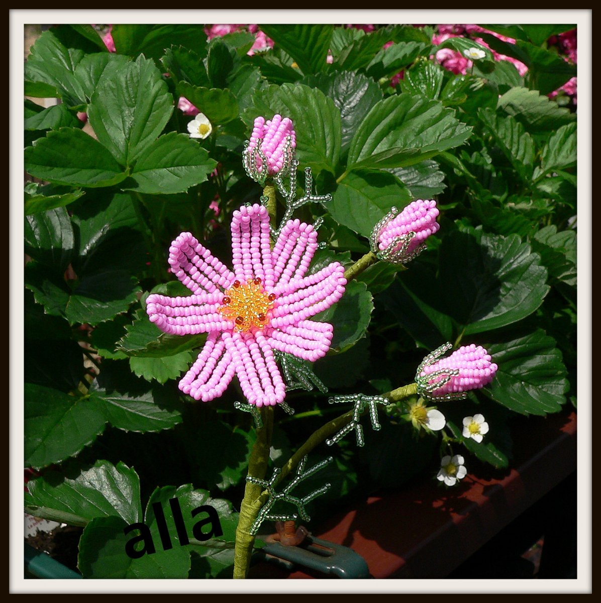 č. 12 - kosmos - T D 1