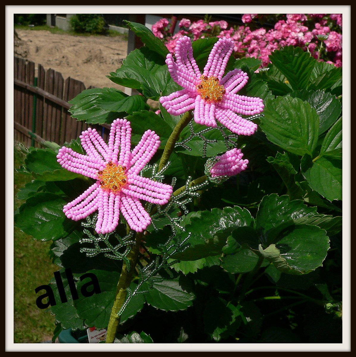 č. 13 - kosmos - T D 