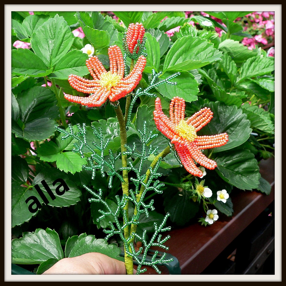 č. 14 - kosmos - T D 