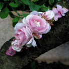 Růžová čelenka do vlasů