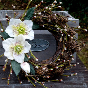 Posel jara_ březový věneček s čemeřicemi_25 cm