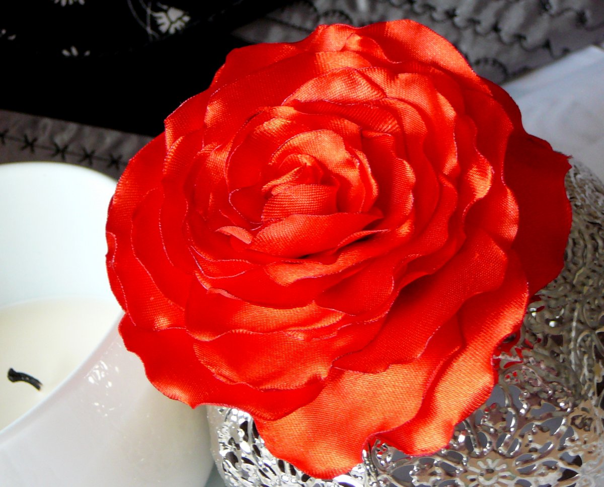 Saténová červená růže.    