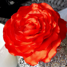 Saténová červená růže.    