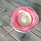 Růžová vlásenka.