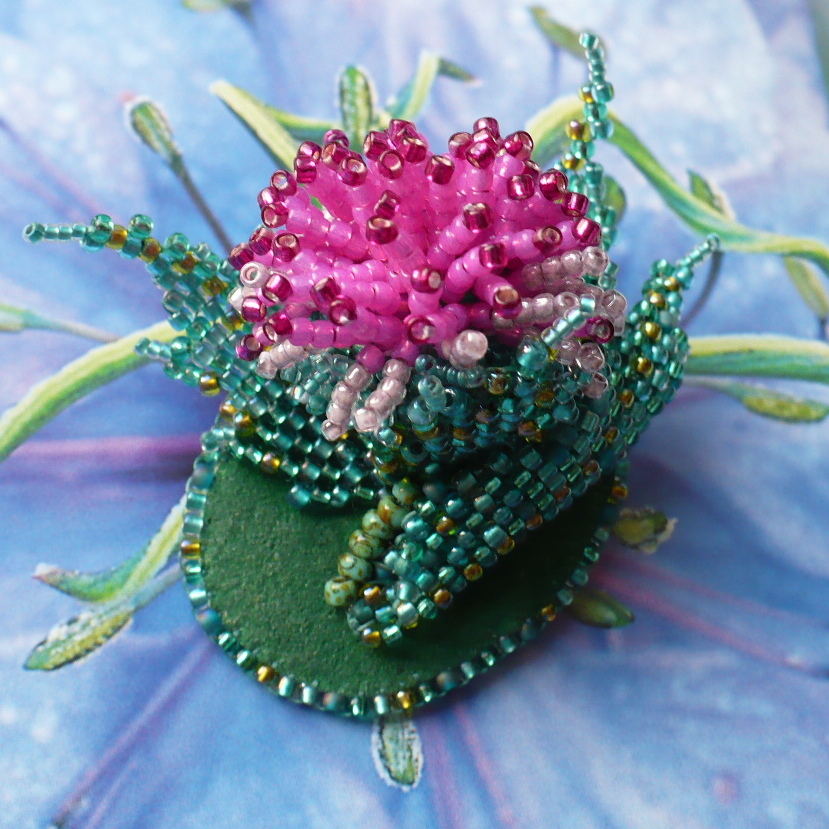 Bodláčková - brož