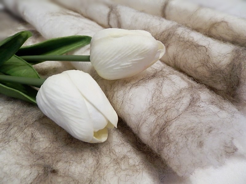 Bílo šedá-dečka na focení miminek