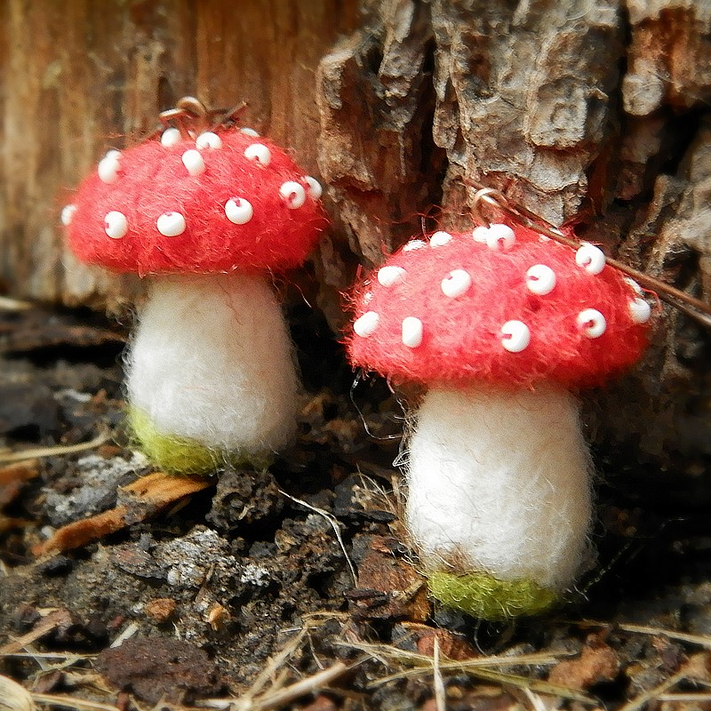 Houbička jedlá jen jednou :)