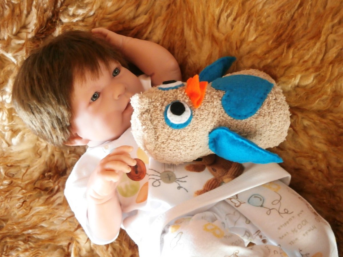 Moudrá sovička č.269