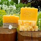 Pálavská zahrada - vitamínové mýdlo