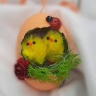 Vajíčka, kraslice s kuřátky