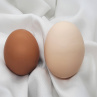 Kraslice vajíčko se zvířátky
