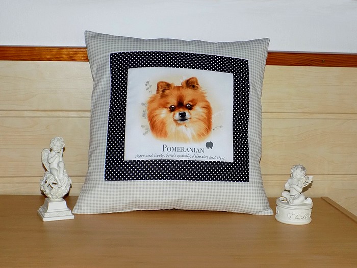 Povláček s pejskem - Pomeranian