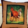 Povláček s obrázky koní, 40x40cm