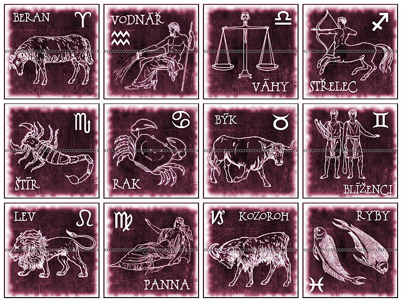 Bavlněná látka - panel - výběr -SG113