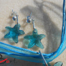 Set - Swarovski Elements indicolite SS28