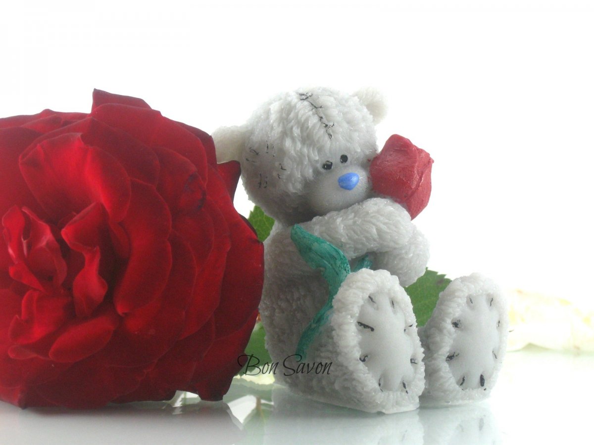 MEDVÍDEK TEDDY  S TULIPÁNEM