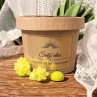 Sojový vosk do aromalampy - Svěží aloe
