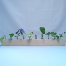 Stojánek s 10 zkumavkami "Školka hustá"