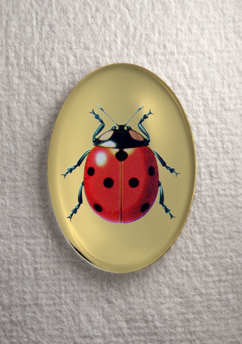 Kabošon 40 x 30 mm, brouček - Slunéčko sedmitečné