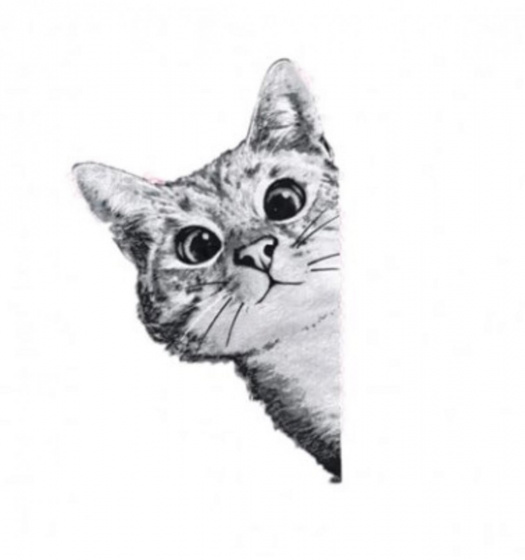 Nažehlovací obrázek kočička 28*18 cm