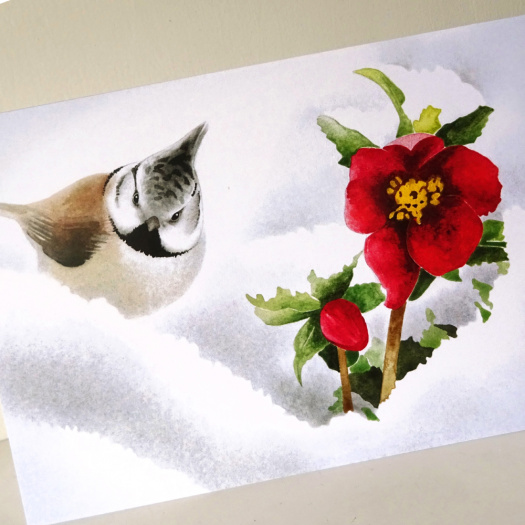 Přání SÝKORA PARUKÁŘKA