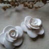 Velké bílé růže