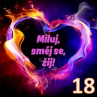 Magnetka s citátem č.18
