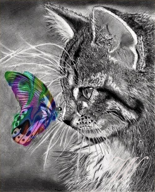 Patchwork - bavlněný panel tištěný - č. 2205