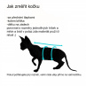 Tričko pro sphynx duhová srdíčka