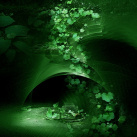 Absinthe dream