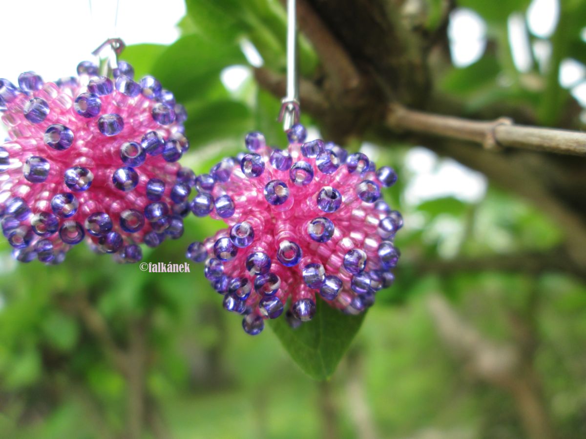 Ježátka růžovo-fialová