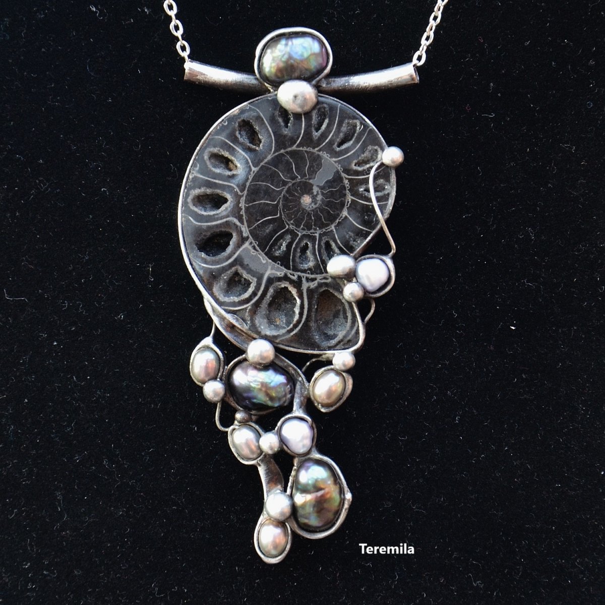 Elegance - amonit, perla