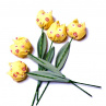Když jaro přichází a tulipány rozkvétají. č 1049