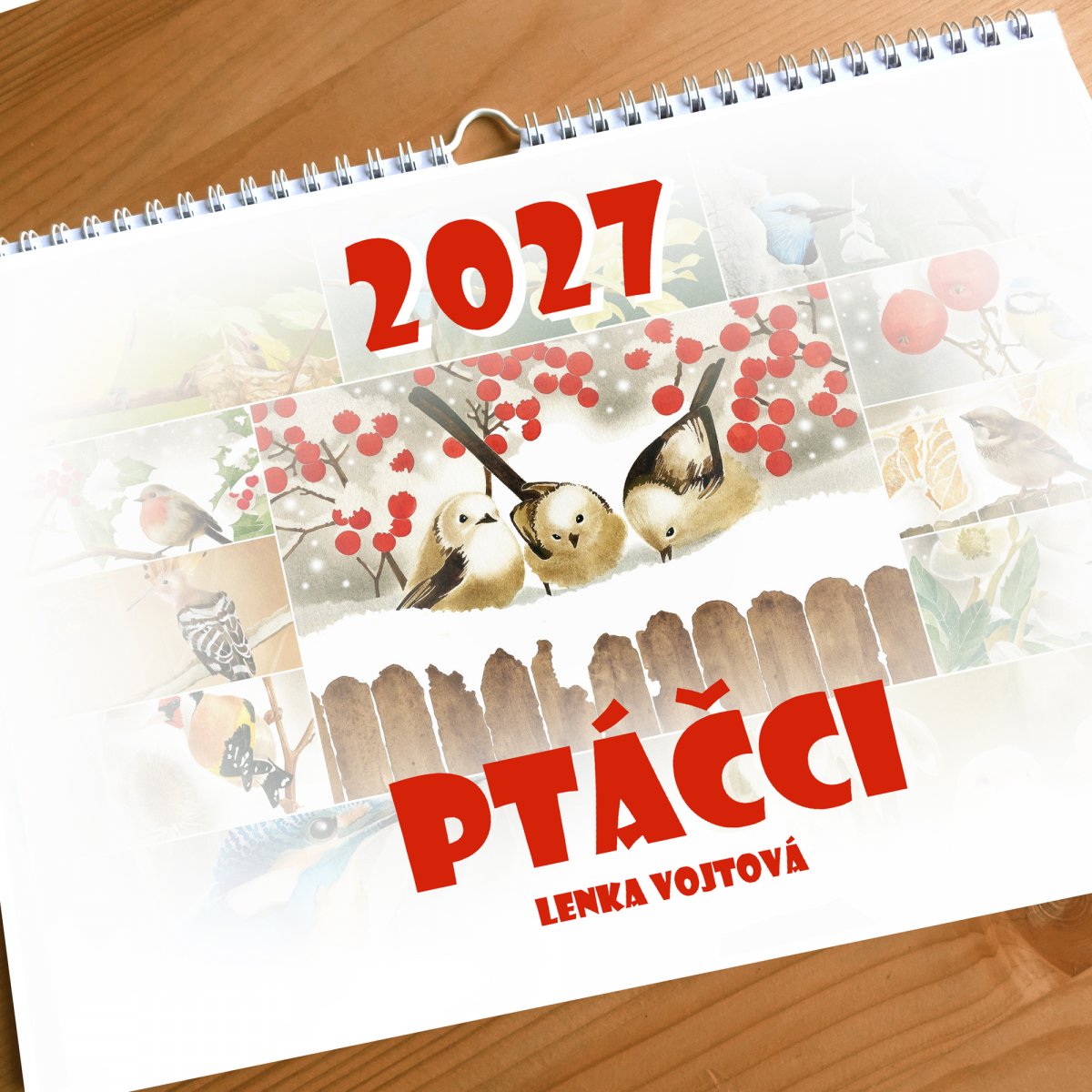 Kalendář 2027 - PTÁČCI 