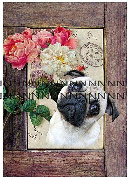 Bavlněná látka - panel  B1e