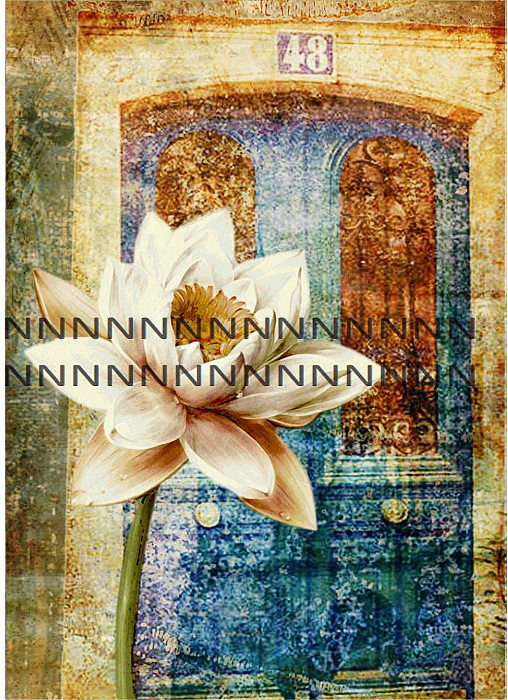 Bavlněná látka - panel  B5c