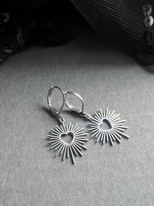 Srdíčkové náušnice - S.Steel