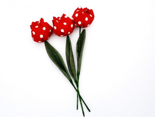 Když jaro přichází a tulipány rozkvétají. č 1035