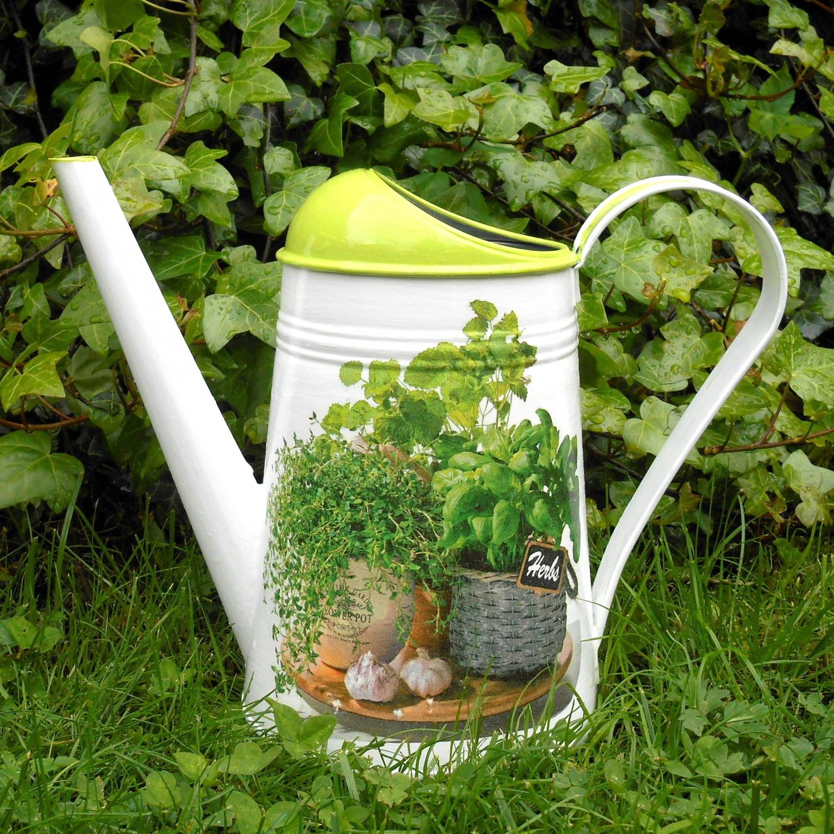 Konvička na bylinky