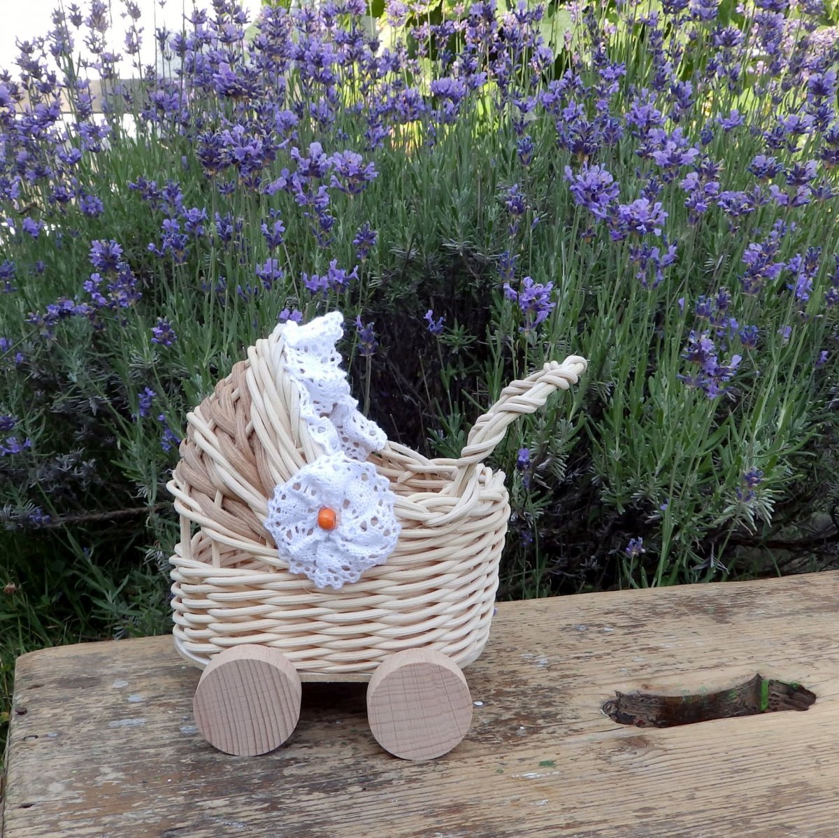 Kočárek košatinka - malý