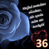 Magnetka s citátem č.36