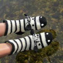 zebra