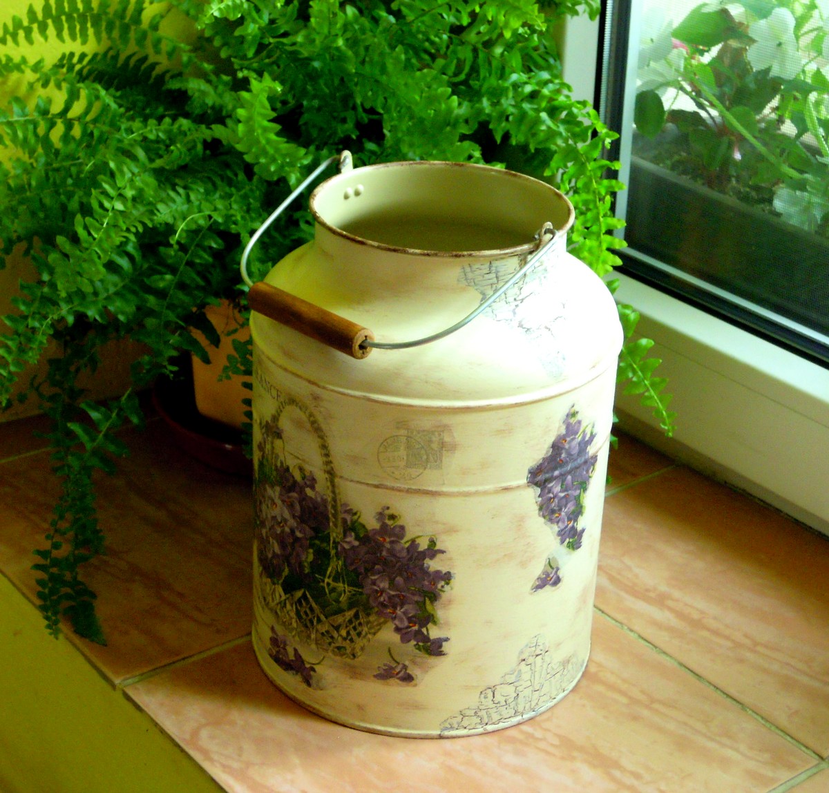 Kdo miluje fialky PBA-2 