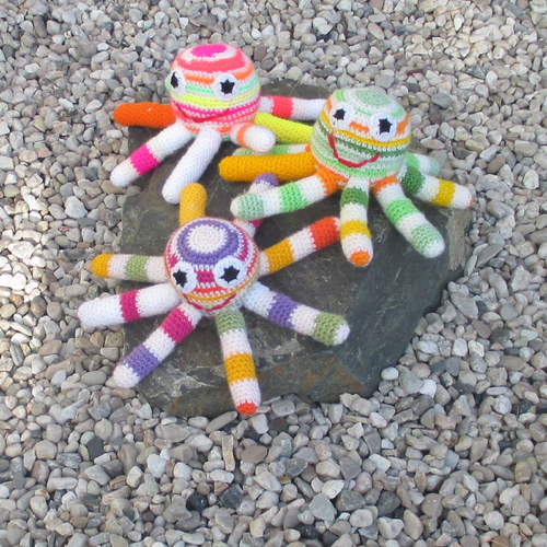  Jedna, dvě, tři ... proužkované chobotnice 