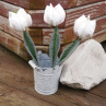 Když jaro přichází a tulipány rozkvétají. č 1038