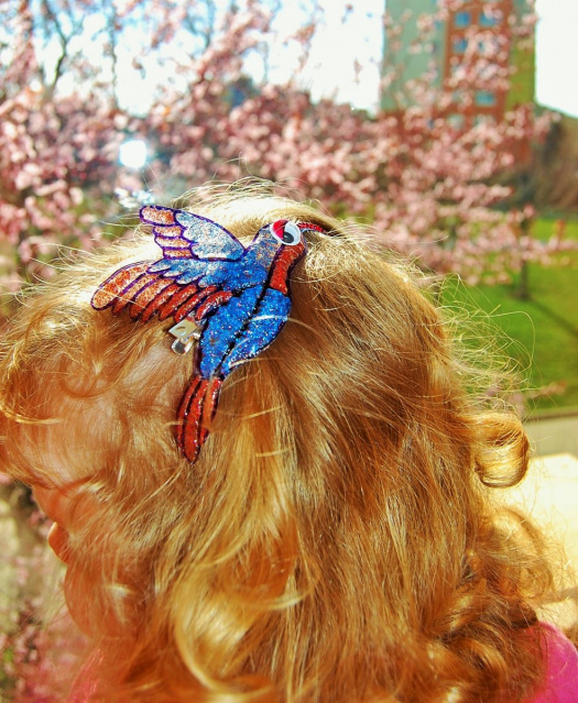 Jaro s kolibříky - spona (nejen) do vlasů
