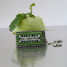 Všude dobře, doma nejlíp