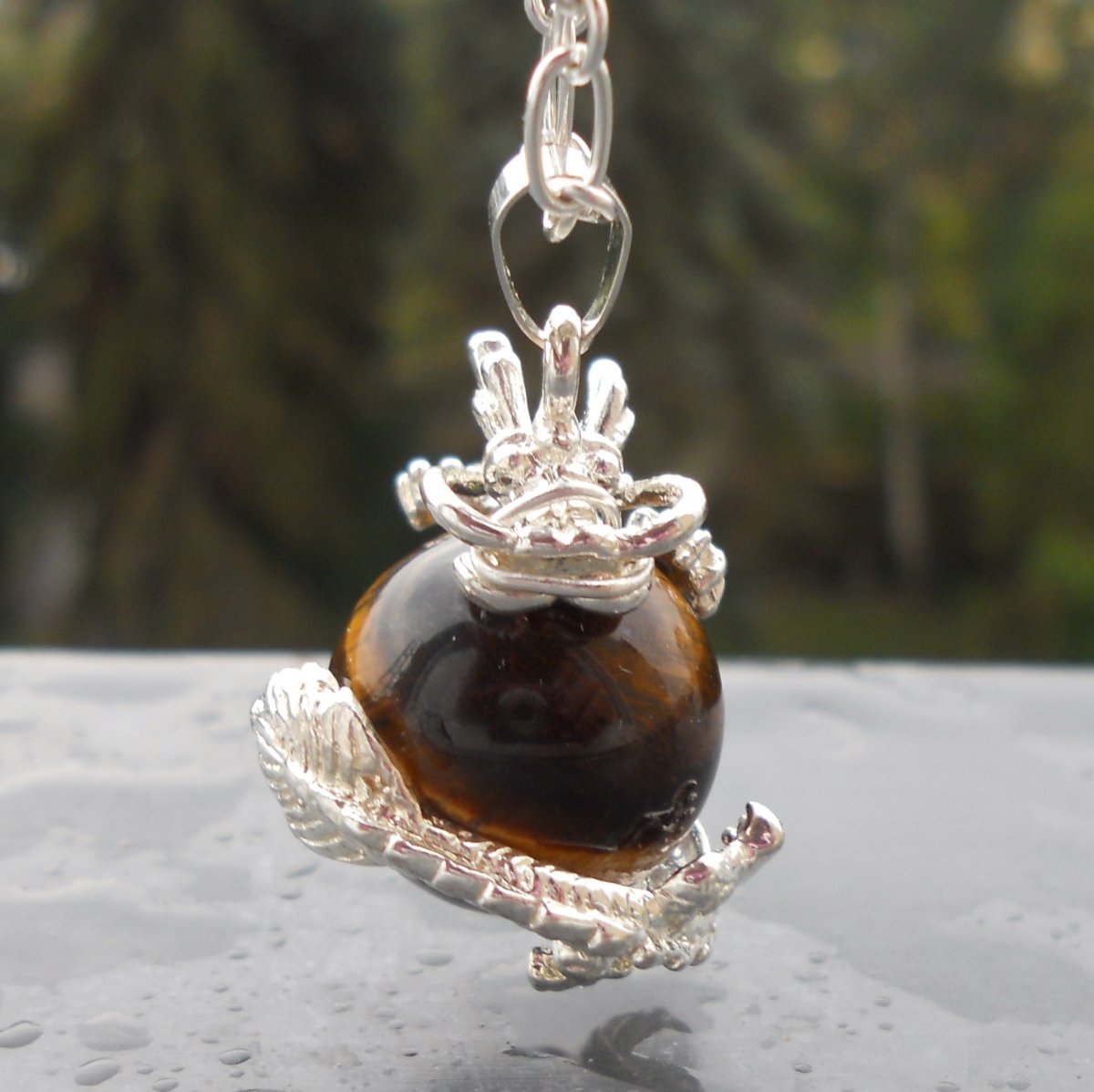 Drak s tygřím okem